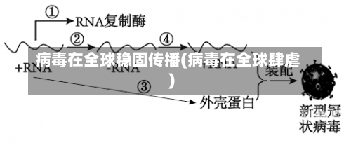 病毒在全球稳固传播(病毒在全球肆虐)