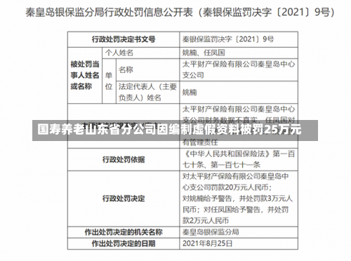 国寿养老山东省分公司因编制虚假资料被罚25万元