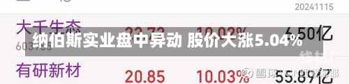 纳伯斯实业盘中异动 股价大涨5.04%