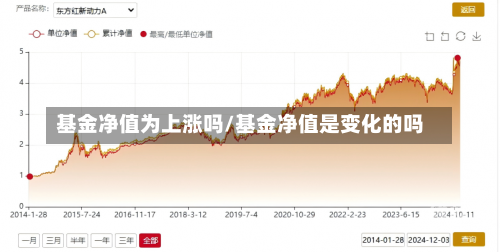 基金净值为上涨吗/基金净值是变化的吗