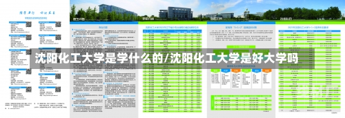 沈阳化工大学是学什么的/沈阳化工大学是好大学吗