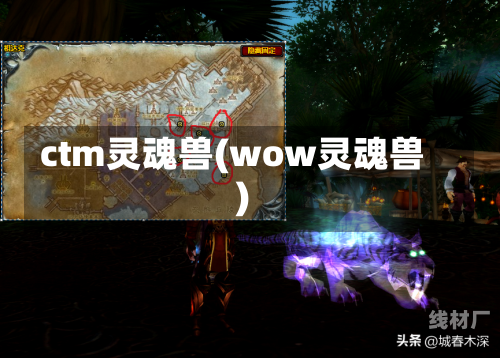 ctm灵魂兽(wow灵魂兽)