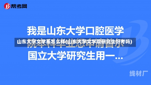 山东大学文学系怎么样(山东大学文学院研究生好考吗)