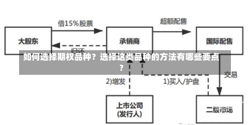 如何选择期权品种？选择这类品种的方法有哪些要点？