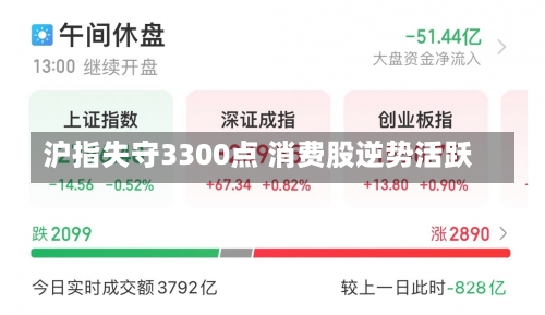 沪指失守3300点 消费股逆势活跃