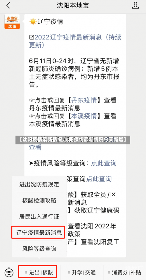 【沈阳疫情最新情况,沈阳疫情最新情况今天新增】