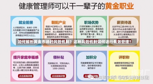 如何解析黄金市场的风险机制？这种风险机制如何进行有效管理？