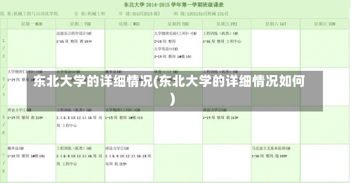 东北大学的详细情况(东北大学的详细情况如何)