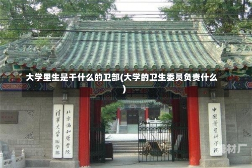 大学里生是干什么的卫部(大学的卫生委员负责什么)