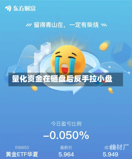 量化资金在砸盘后反手拉小盘