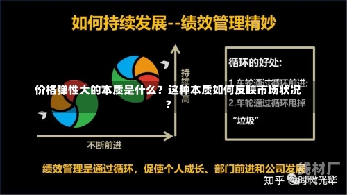 价格弹性大的本质是什么？这种本质如何反映市场状况？