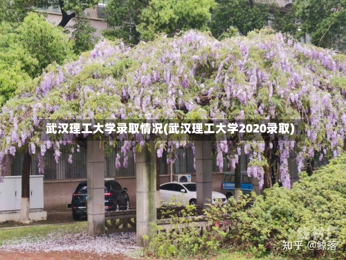 武汉理工大学录取情况(武汉理工大学2020录取)