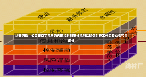 华菱钢铁：公司建立了完善的内部控制和审计机制以确保财务工作的专业性和合规性