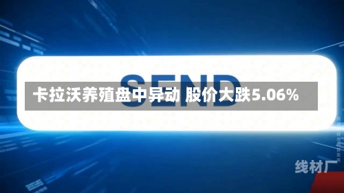 卡拉沃养殖盘中异动 股价大跌5.06%