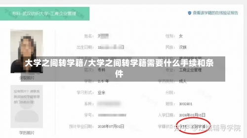 大学之间转学籍/大学之间转学籍需要什么手续和条件