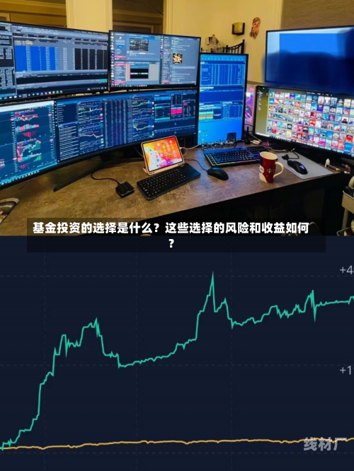 基金投资的选择是什么？这些选择的风险和收益如何？