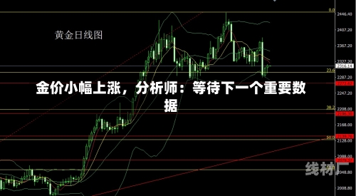 金价小幅上涨，分析师：等待下一个重要数据