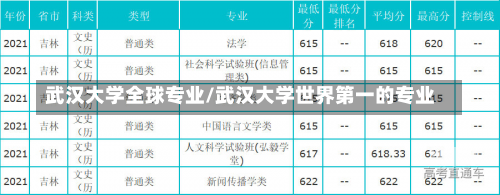 武汉大学全球专业/武汉大学世界第一的专业