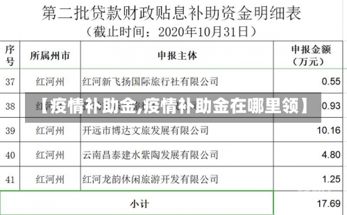 【疫情补助金,疫情补助金在哪里领】