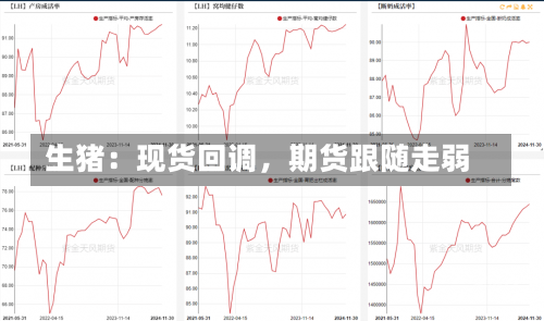 生猪：现货回调，期货跟随走弱