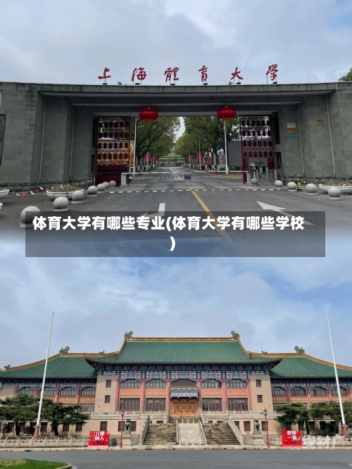 体育大学有哪些专业(体育大学有哪些学校)