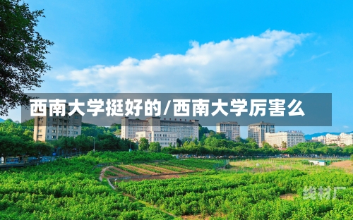 西南大学挺好的/西南大学厉害么