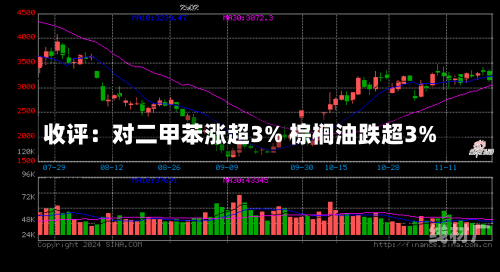 收评：对二甲苯涨超3% 棕榈油跌超3%