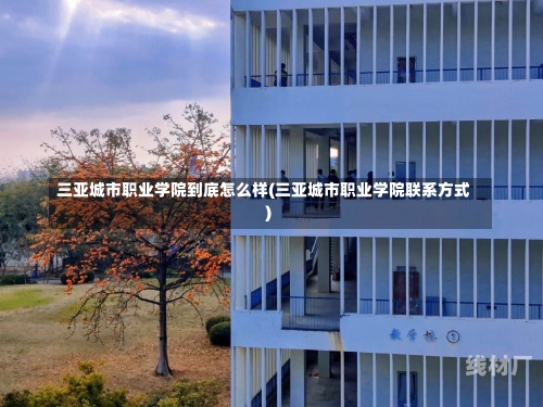 三亚城市职业学院到底怎么样(三亚城市职业学院联系方式)