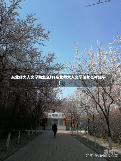 东北师大人文学院怎么样(东北师大人文学院怎么样知乎)