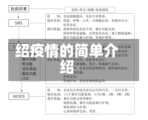 绍疫情的简单介绍