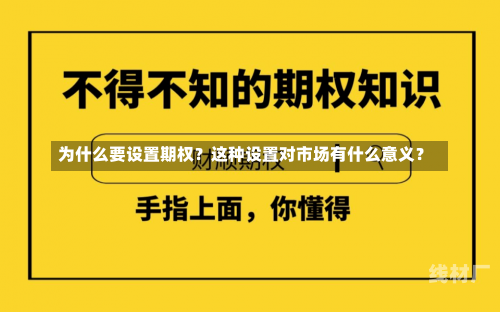 为什么要设置期权？这种设置对市场有什么意义？