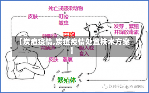 【炭疽疫情,炭疽疫情处置技术方案】