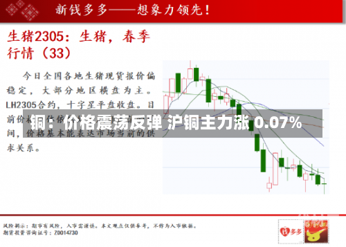 铜：价格震荡反弹 沪铜主力涨 0.07%