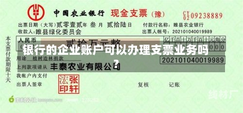 银行的企业账户可以办理支票业务吗？