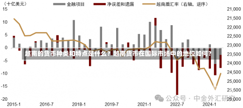 越南的货币种类和特点是什么？越南货币在国际市场中的地位如何？