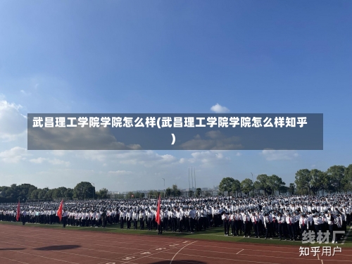 武昌理工学院学院怎么样(武昌理工学院学院怎么样知乎)