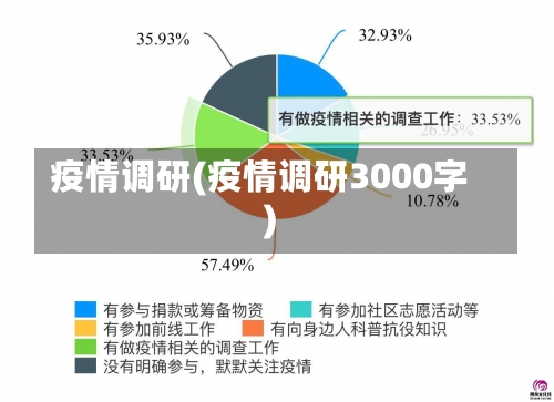 疫情调研(疫情调研3000字)