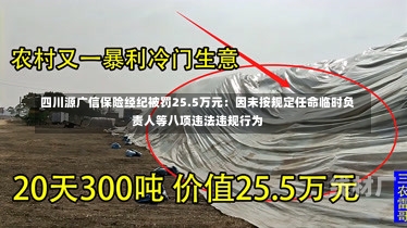 四川源广信保险经纪被罚25.5万元：因未按规定任命临时负责人等八项违法违规行为