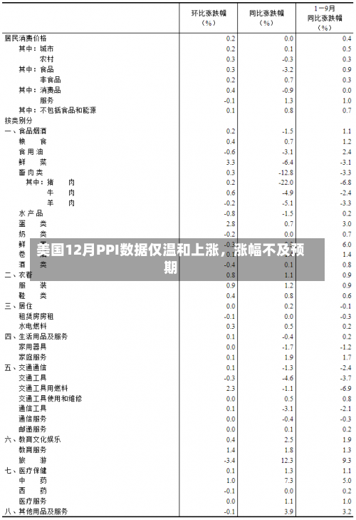 美国12月PPI数据仅温和上涨，涨幅不及预期