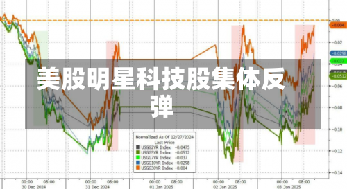 美股明星科技股集体反弹