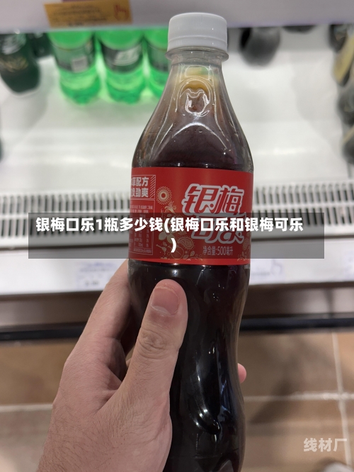 银梅口乐1瓶多少钱(银梅口乐和银梅可乐)