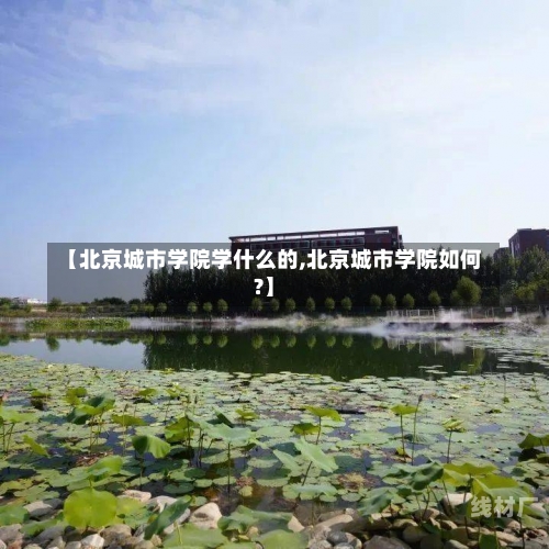 学院 第10页