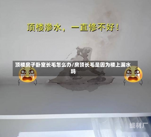 顶楼房子卧室长毛怎么办/房顶长毛是因为楼上漏水吗