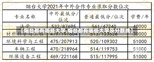 【烟台都有哪些大学,烟台都有哪些大学及分数线】