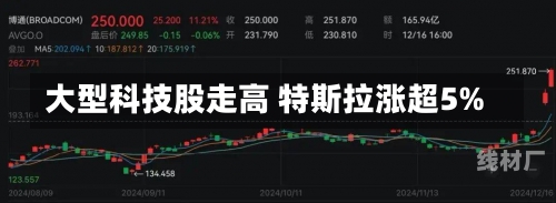 大型科技股走高 特斯拉涨超5%