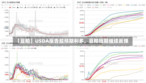 【豆粕】USDA报告超预期利多，豆粕短期继续反弹