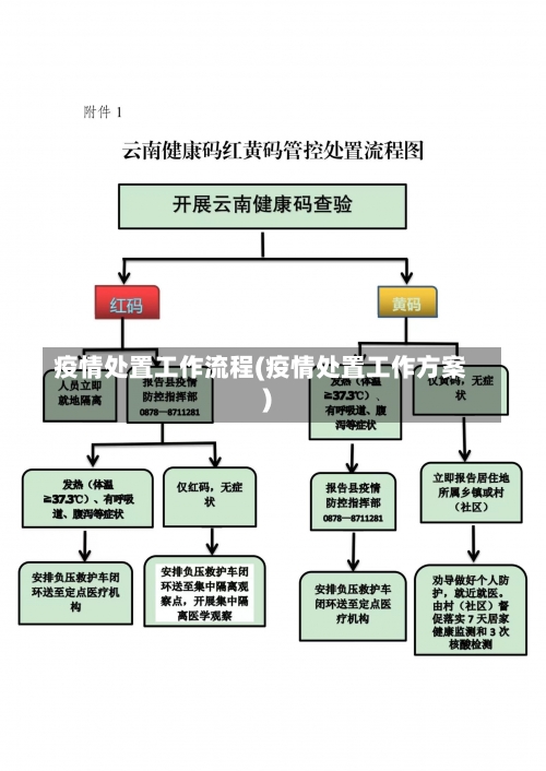 疫情处置工作流程(疫情处置工作方案)