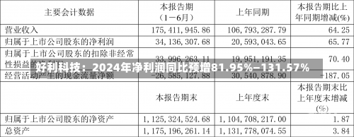 好利科技：2024年净利润同比预增81.95%―131.57%