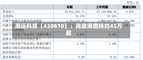 瀚远科技（430610）：肖峻涛增持约45万股