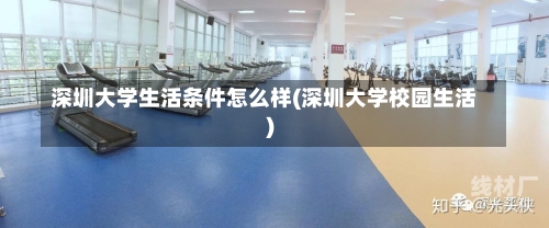 深圳大学生活条件怎么样(深圳大学校园生活)